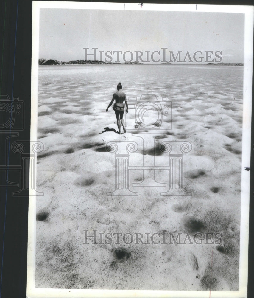1984 Back to Nature Lucy Irvine Tidal Flats Coral Sea - Historic Images