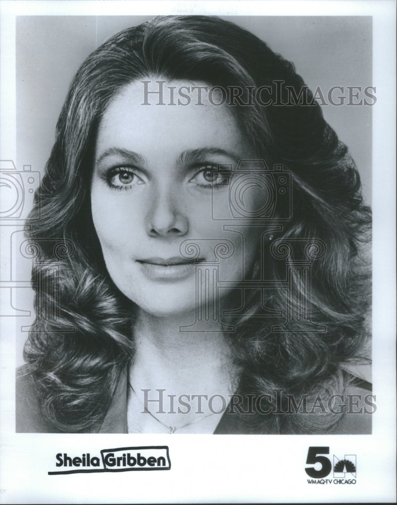 1984 Sheila Gribben WMAQTV Chicago Entertainer Beauty - Historic Images