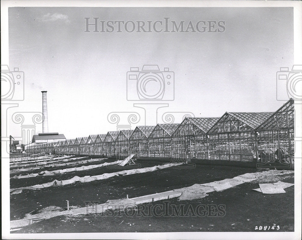 1955 Press Photo Japan Hydroelectric Form - Historic Images