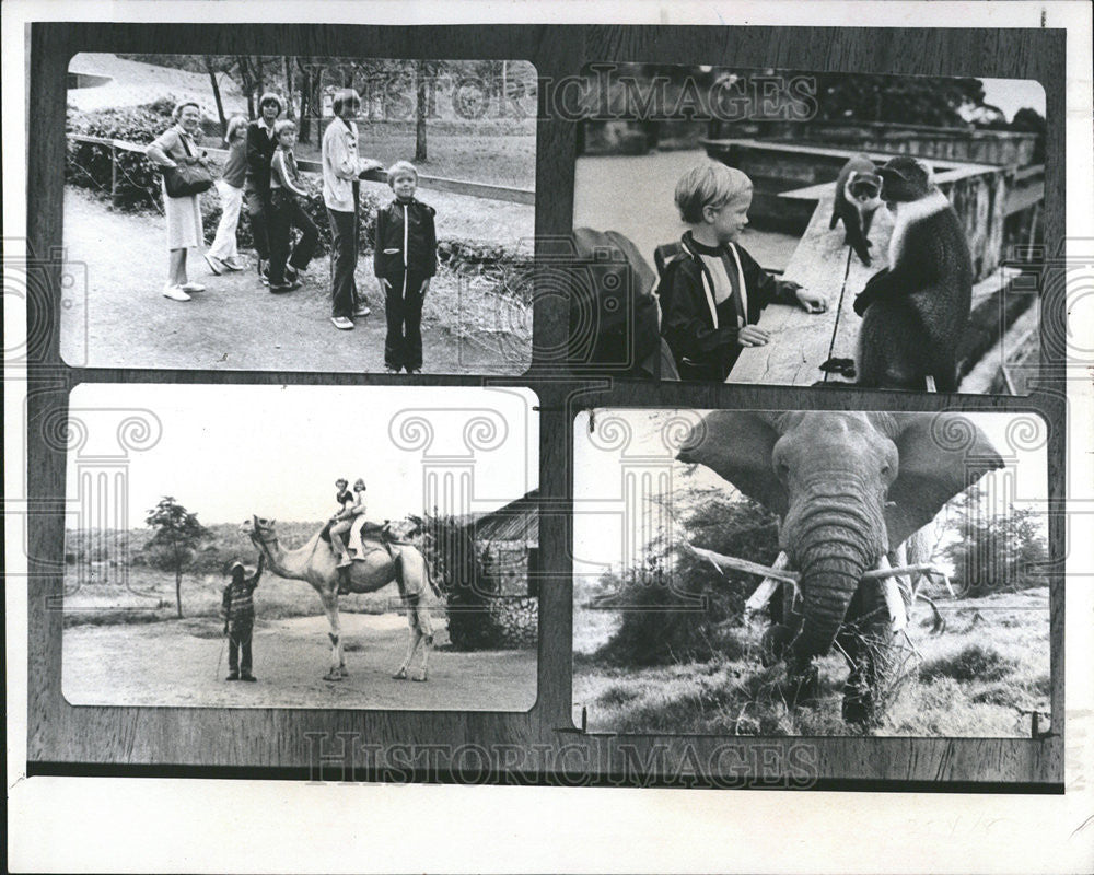 1981 Press Photo Reiley Laatz Petersburg Bellamy Abbott Sykes monkey Grandmother - Historic Images