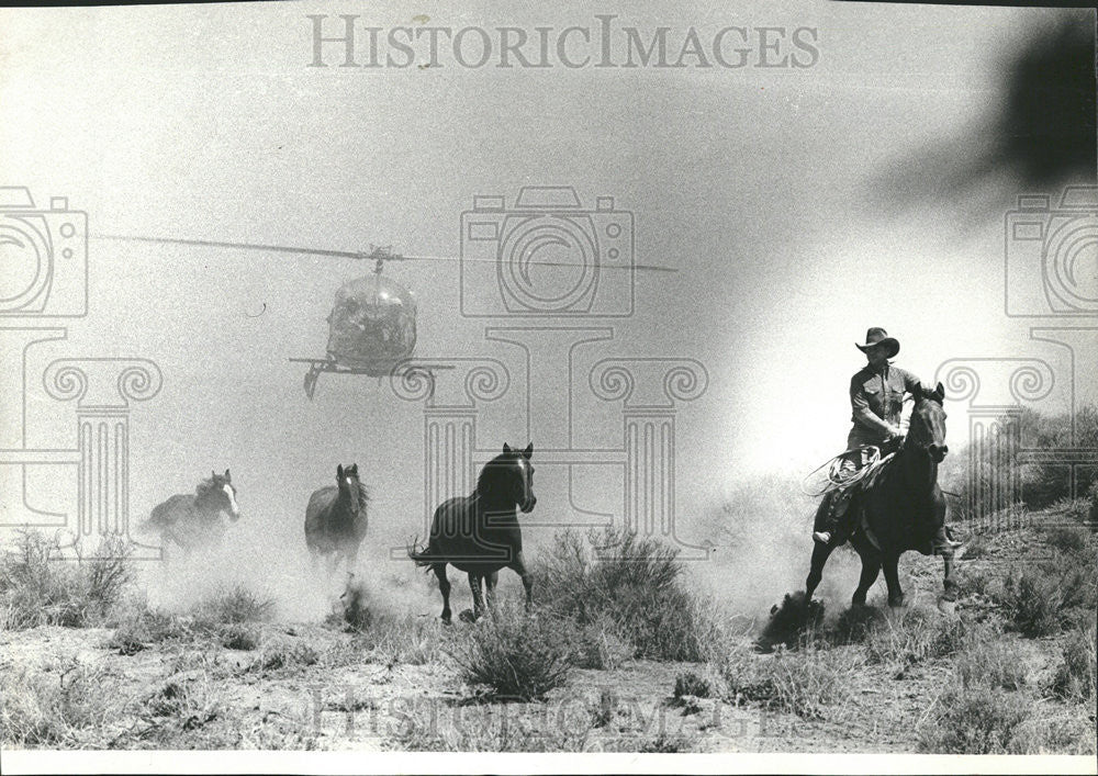 1980 Press Photo Jerry Tomaselli Best Photographer Association competition - Historic Images