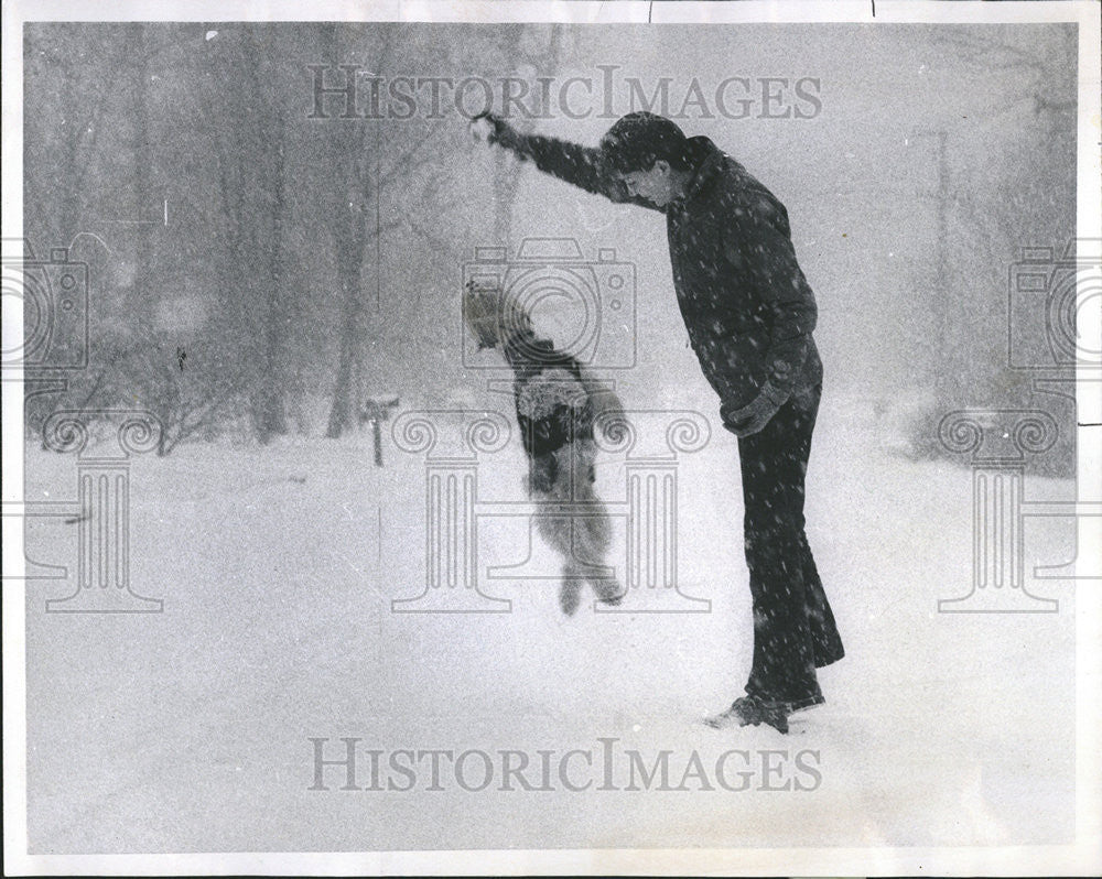 1971 Press Photo Snow  Storm Chicago Wirehairir Fox Terrier - Historic Images