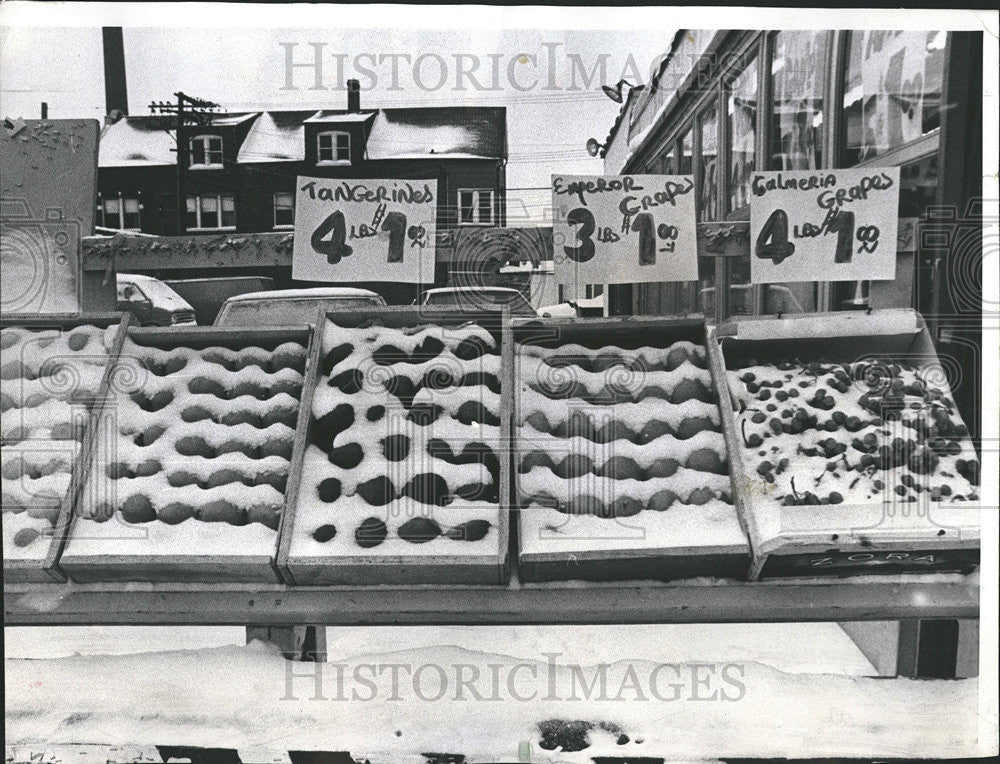 1973 Press Photo Frozen Fresh fruit Kedzie Strom City  Snow - Historic Images