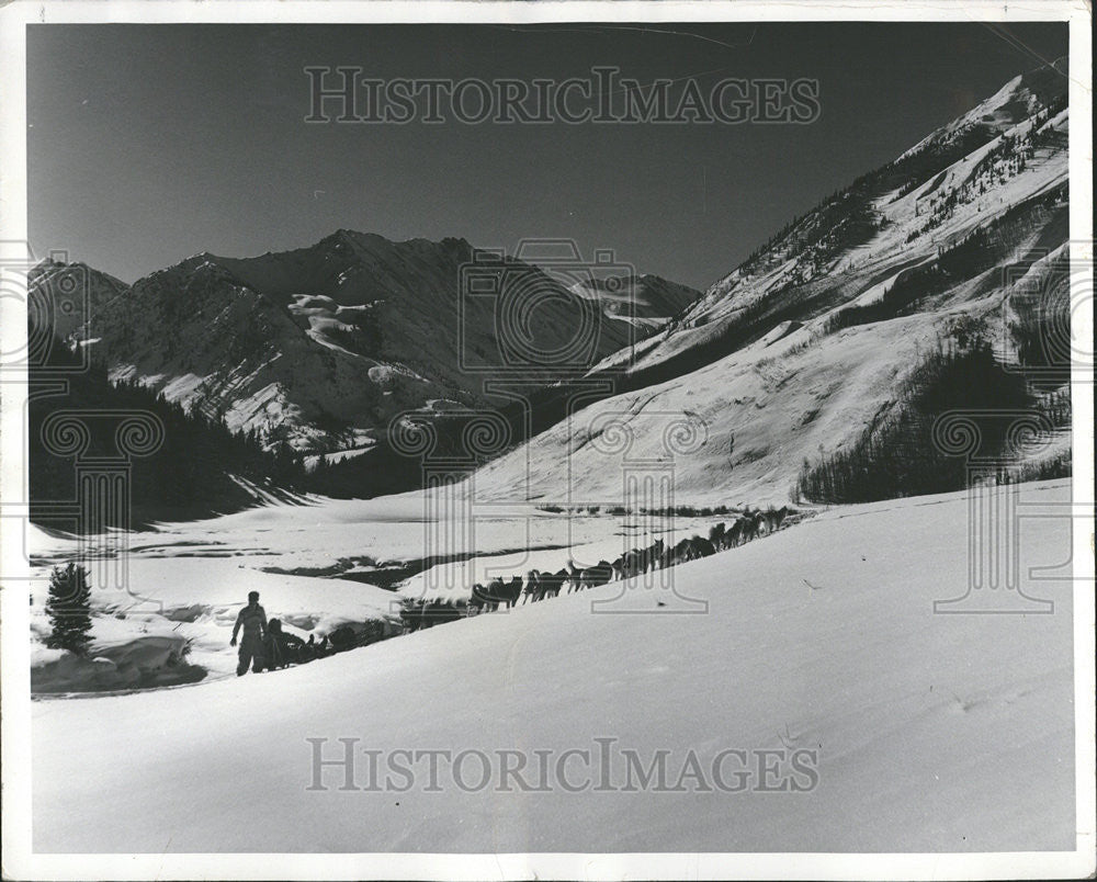 1954 Press Photo Colorado Husky Ashcroft Castle Valley - Historic Images