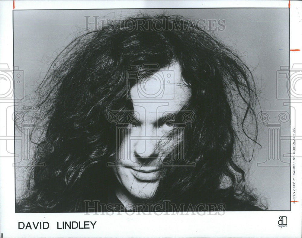 1981 Press Photo  Musician David Lindley - Historic Images