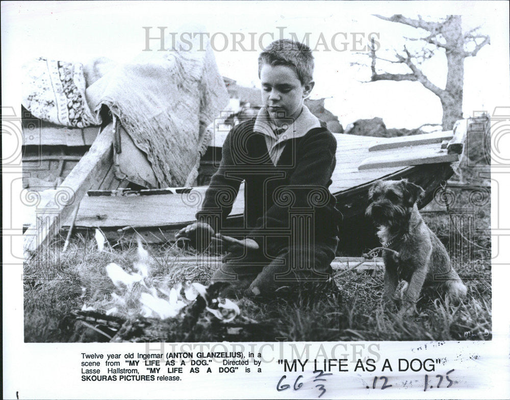 Press Photo Anton Glanzelius In My Life As A Dog - Historic Images