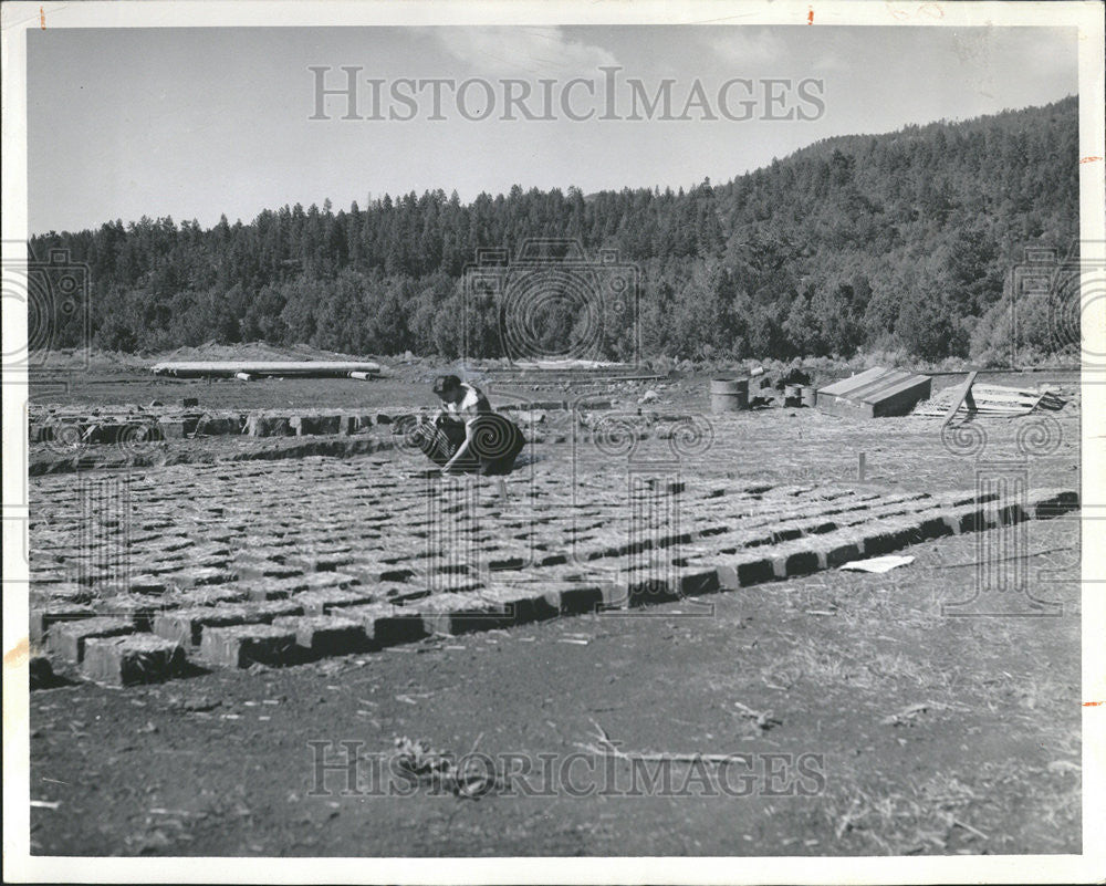 1957 Press Photo New Mexico General Students Make Adobe Bricks To Rebuild Fort - Historic Images