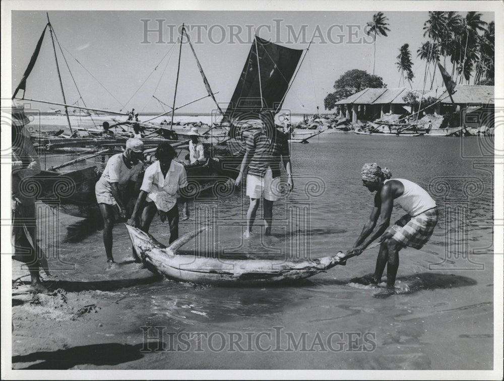 Press Photo Ceylon Fishermen Hunger Campaign Boats Tier - Historic Images