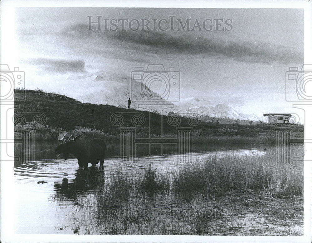 1972 Press Photo Denali Mount McKinley National Park Wildlife Sanctuary Alaska - Historic Images