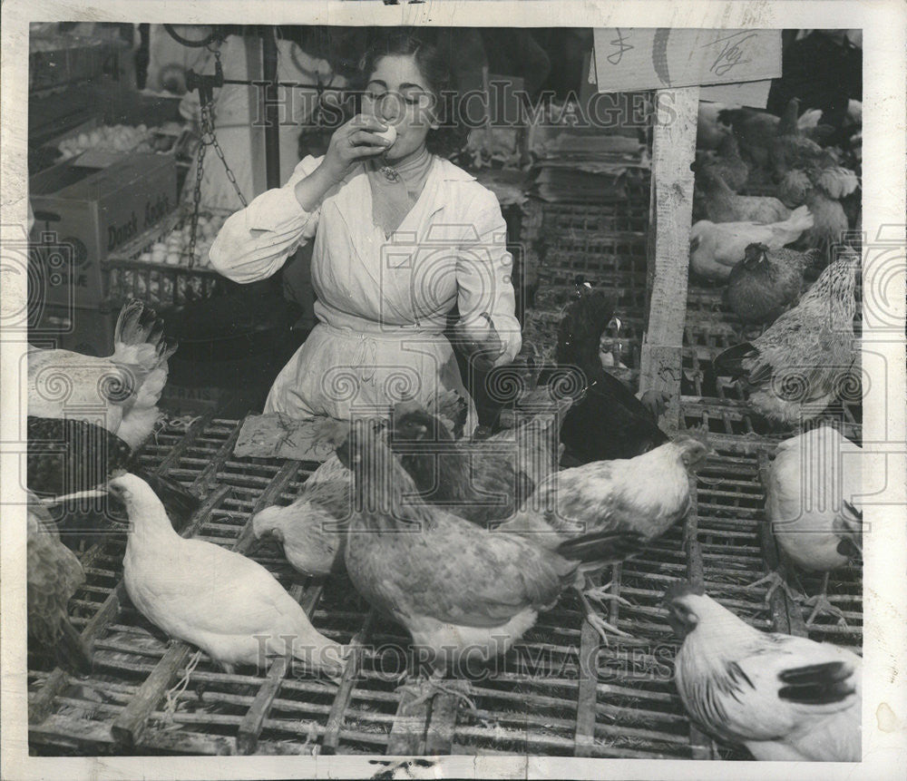 1957 Press Photo  Caterina Olivi poultry shop Rome hen bird egg - Historic Images