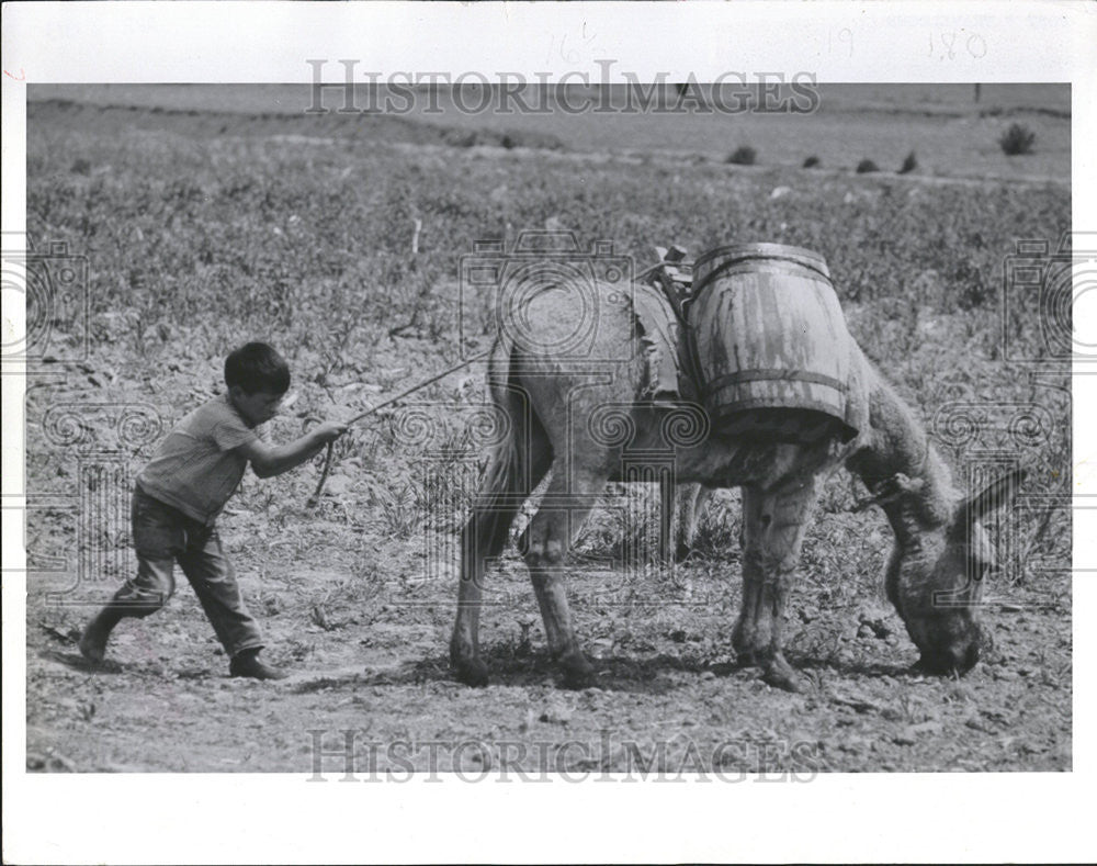 1973 Press Photo Eastman Kodak Cameramen Mexico Four Wheel drive burro - Historic Images