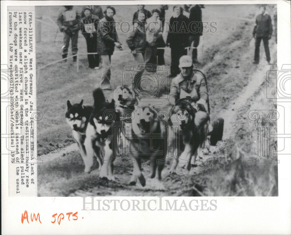 1975 Press Photo Husky Race Snow Forced Land West Germany Dry Run Husky Race - Historic Images