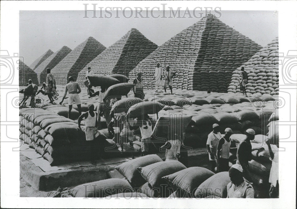 1959 Press Photo Peanuts Nigeria Dark Continent Screen Digest film Pyramids - Historic Images