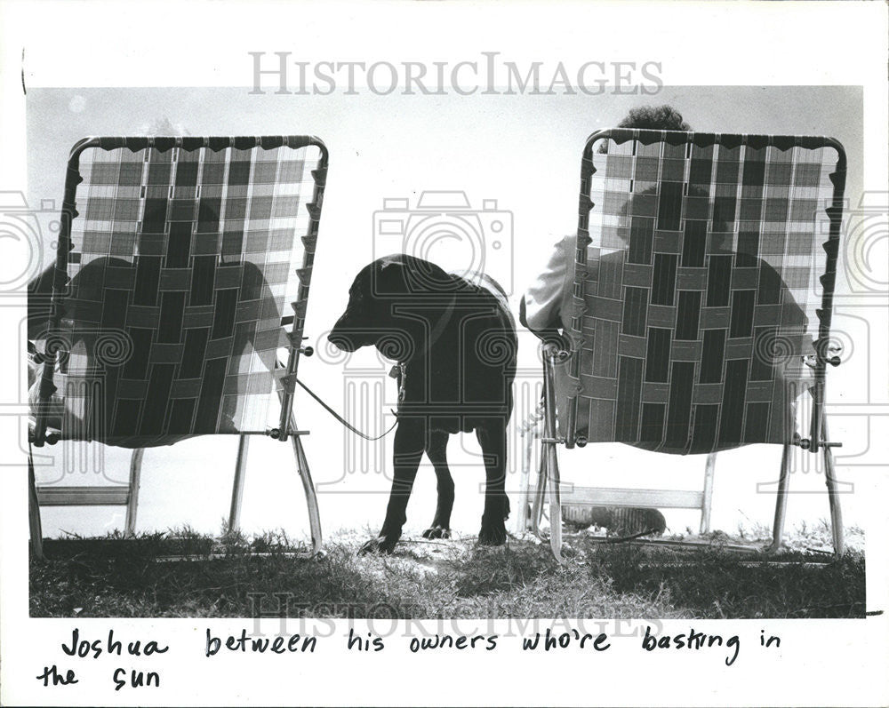 1983 Press Photo Belleair Beach Causeway Chuck Deyoung Poncho dog Animal tourist - Historic Images