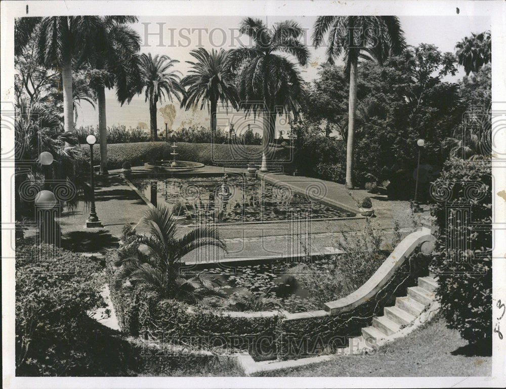 1955 Press Photo Purples Globes Over The Garden, Marble Stairways - Historic Images