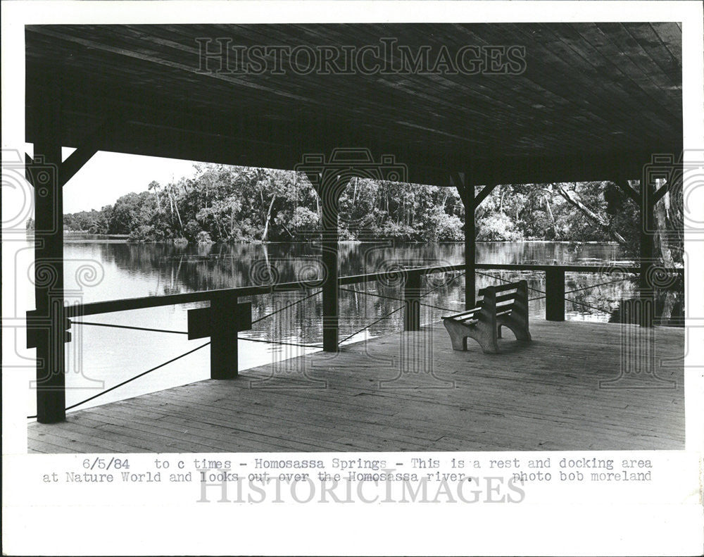 1984 Press Photo Homosassa Springs Wildlife State Park Florida - Historic Images