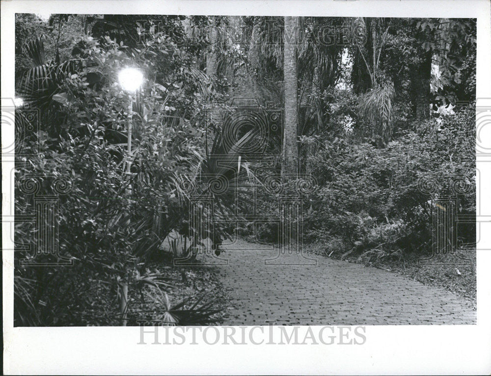 1970 Press Photo Harold Anderson House Garden - Historic Images