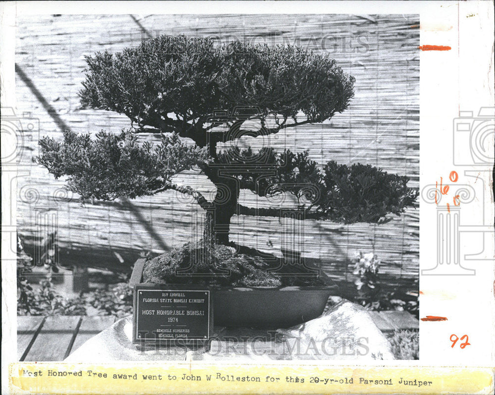 1974 Press Photo West Honored Tree Award John Rolleston Parsoni Juniper - Historic Images