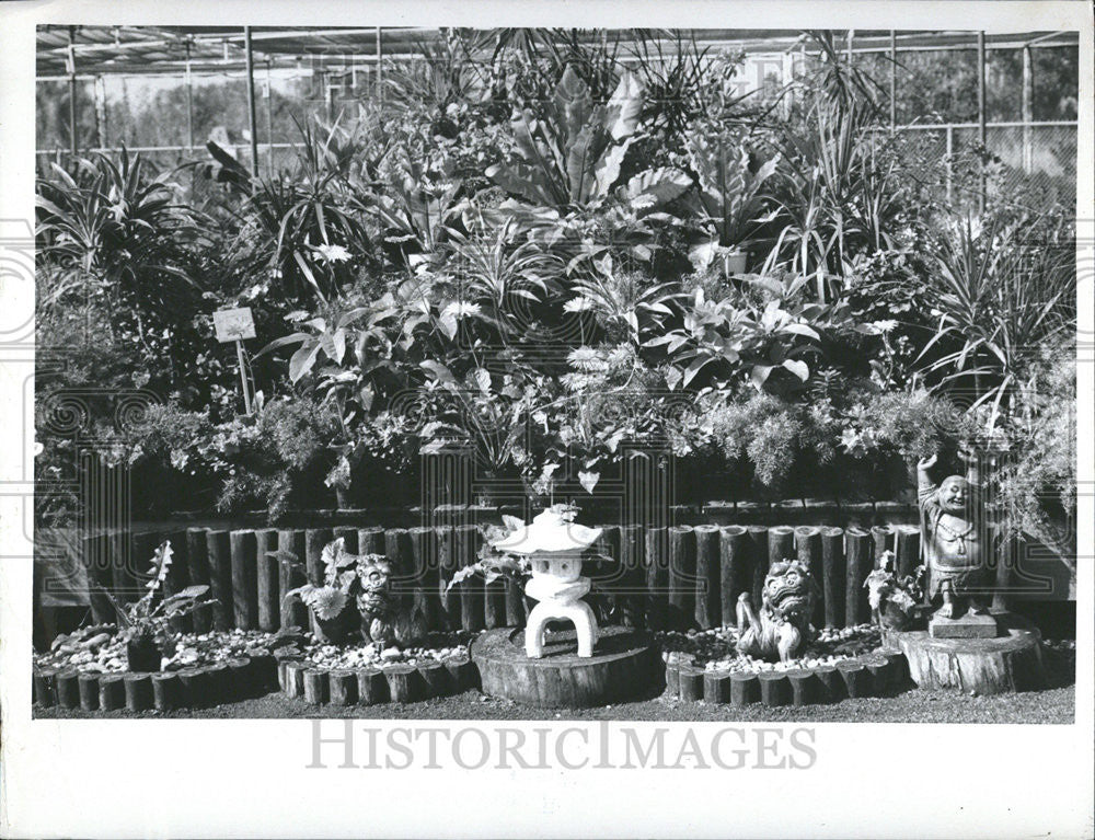 1974 Press Photo Gardening Plants Trees - Historic Images