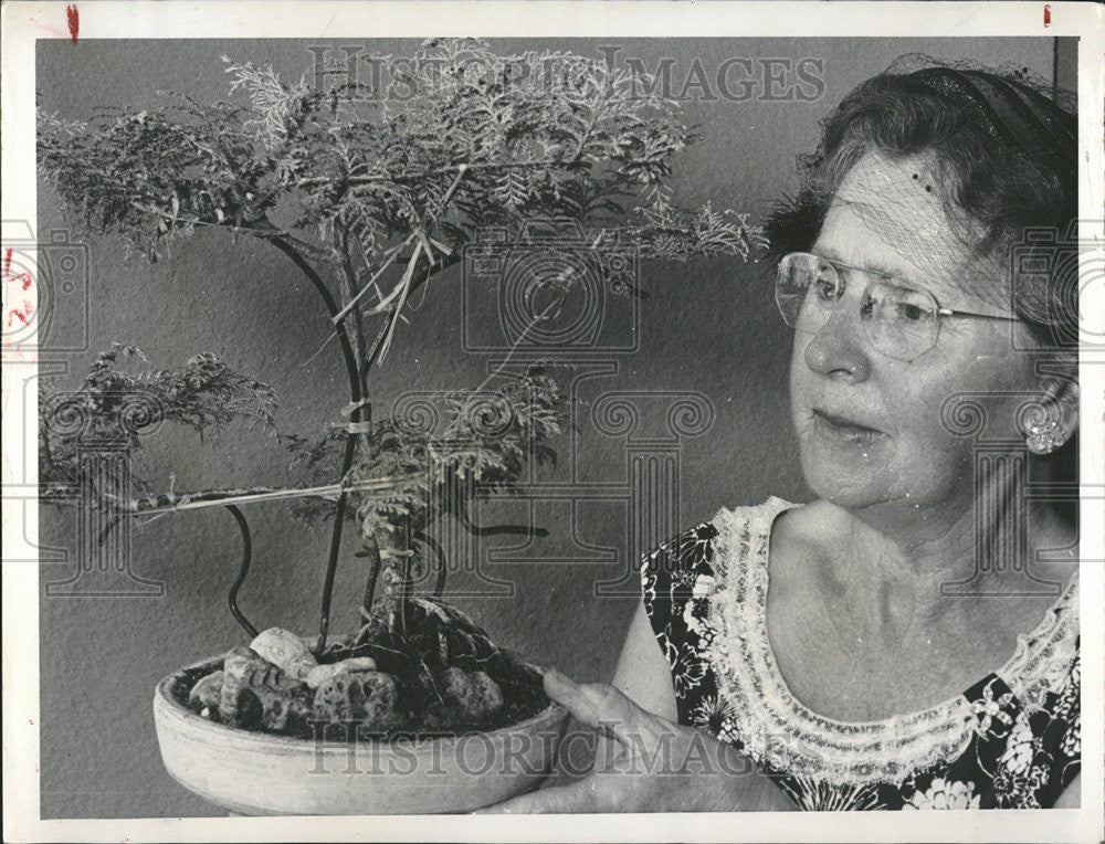 1962 Press Photo Mrs Bowers Clearwater Wires branches raffia Japanese wind - Historic Images