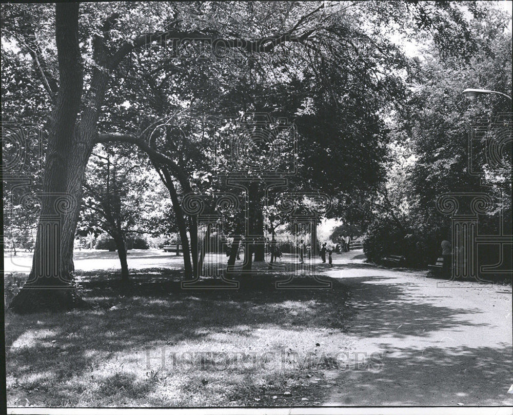 1972 Press Photo Fred stein Wooded Island Jackson Park Wooded Island Ilumis - Historic Images