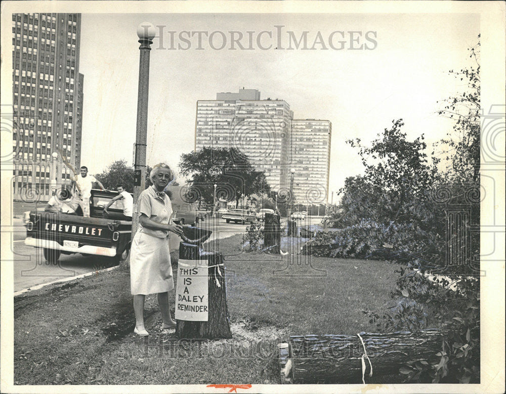 1965 Press Photo Illinois Jackson Chicago Park Yesterday City Hall - Historic Images