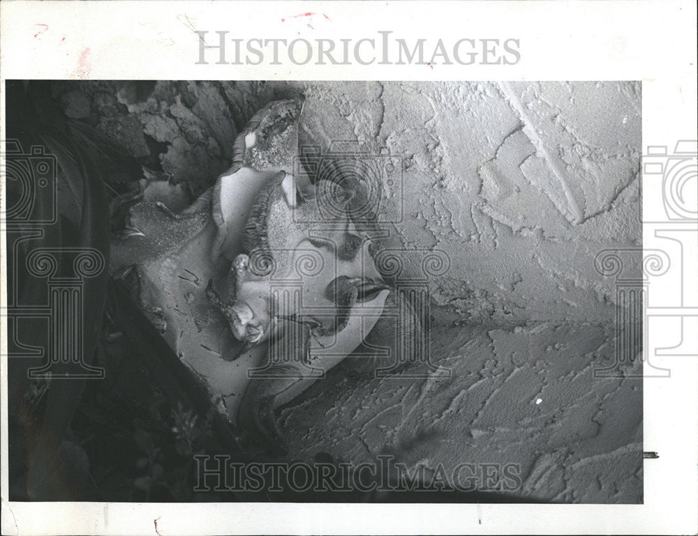 1981 Press Photo Giant mushroom at D&#39;Arigo Regency Park home. - Historic Images