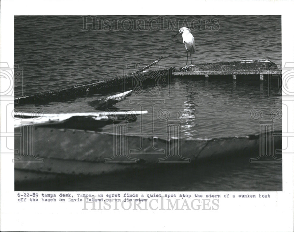 1989 Press Photo An Egret Finds A Quiet Spot Atop The Stern Of A Sunken Boat - Historic Images