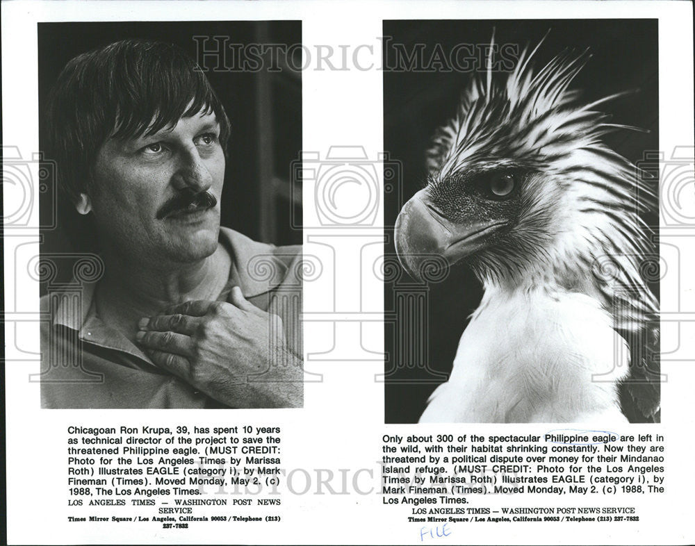 1988 Press Photo Ron Krupa And Philippine Eagle - Historic Images