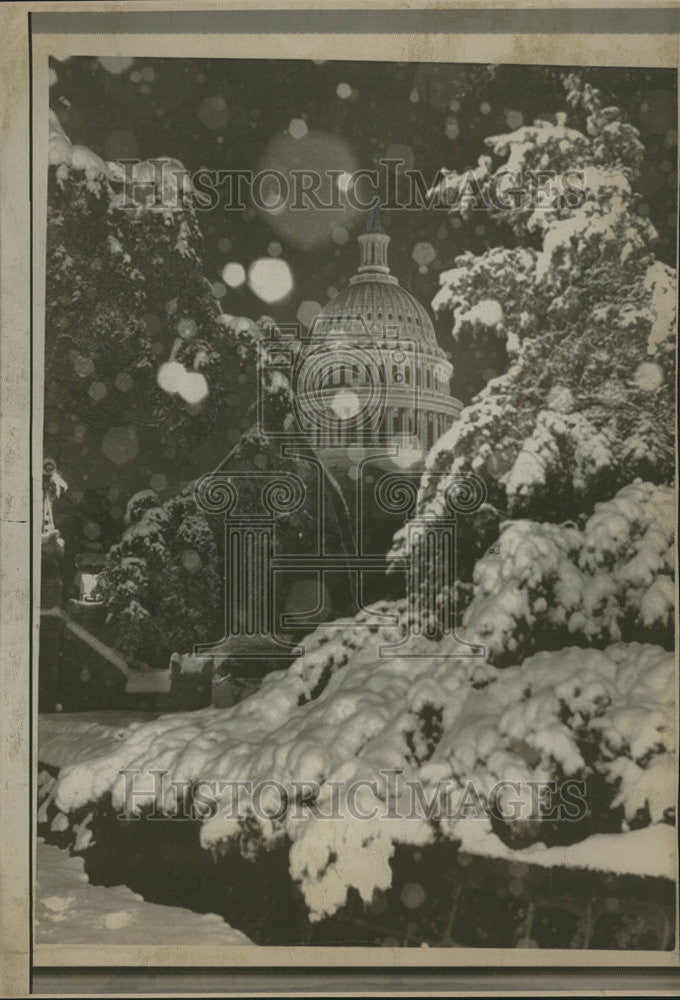 1967 Press Photo Snow coat US Trees Beauty Bedecked Season - Historic Images