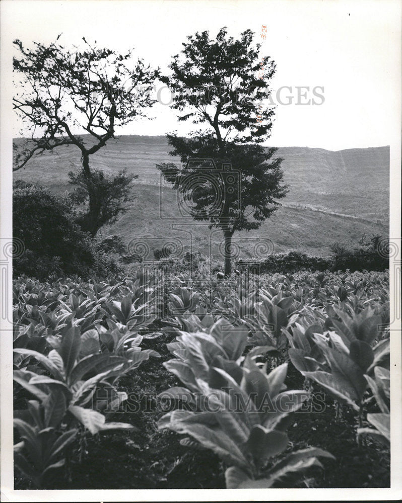 1965 Press Photo Taleao deepartamento de Santauder - Historic Images