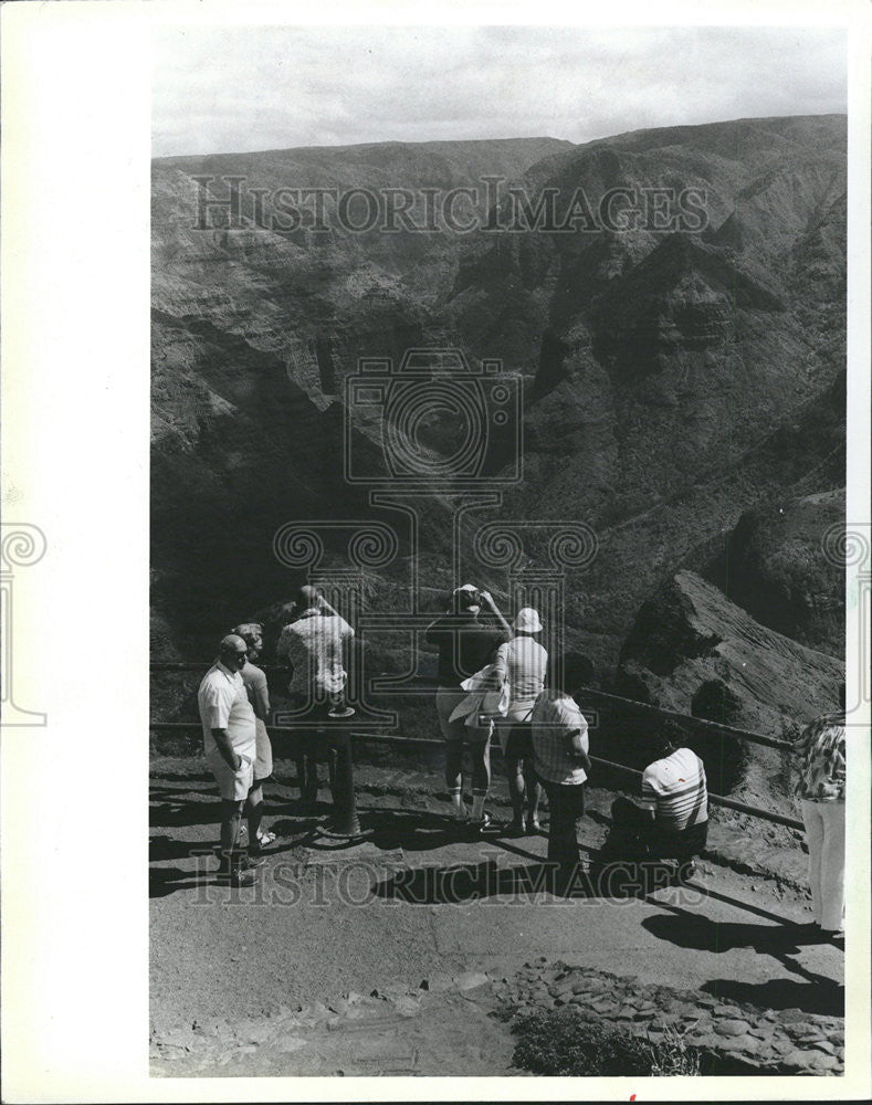 1983 Press Photo Roseate Hued Weathered lava wall Canyon Waimea Greenery island - Historic Images