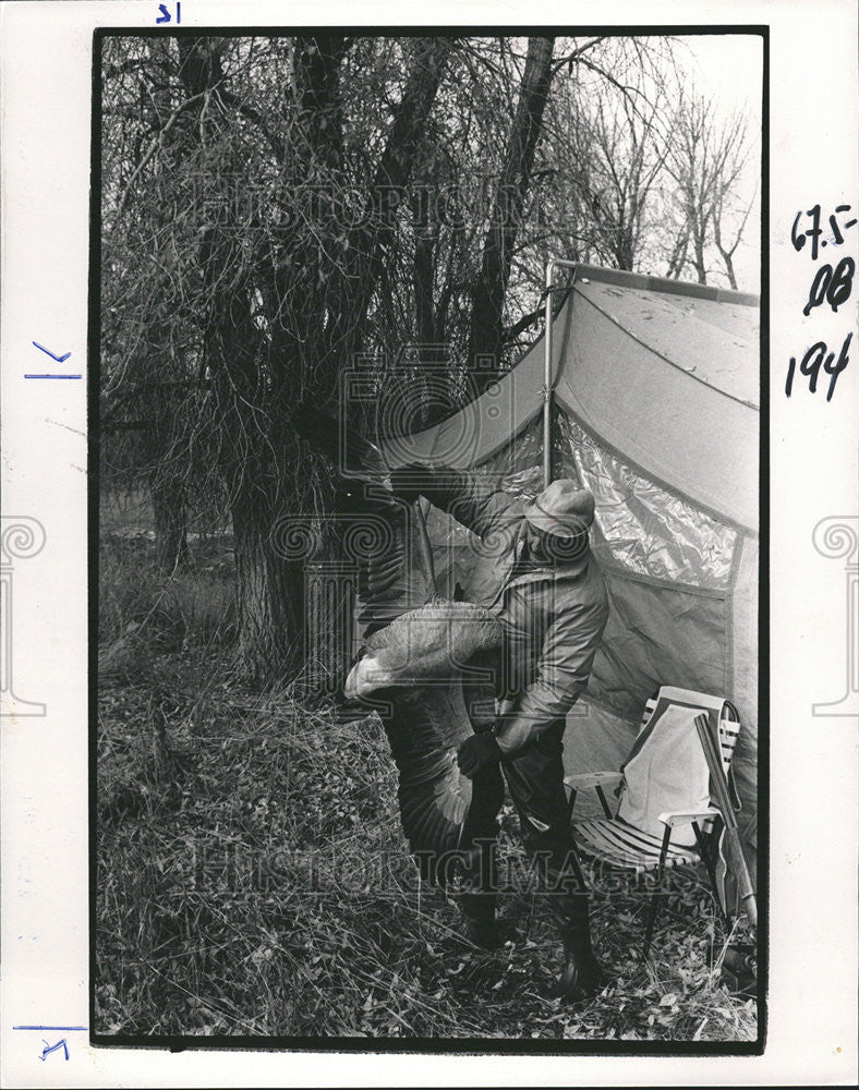 1986 Press Photo Eagle Bird Hunting Forest Nature - Historic Images