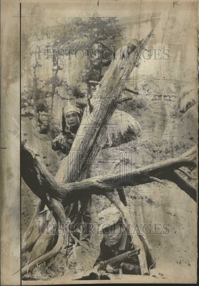 1968 Press Photo North Korean communist infiltrator eastern coast troop Urchin - Historic Images