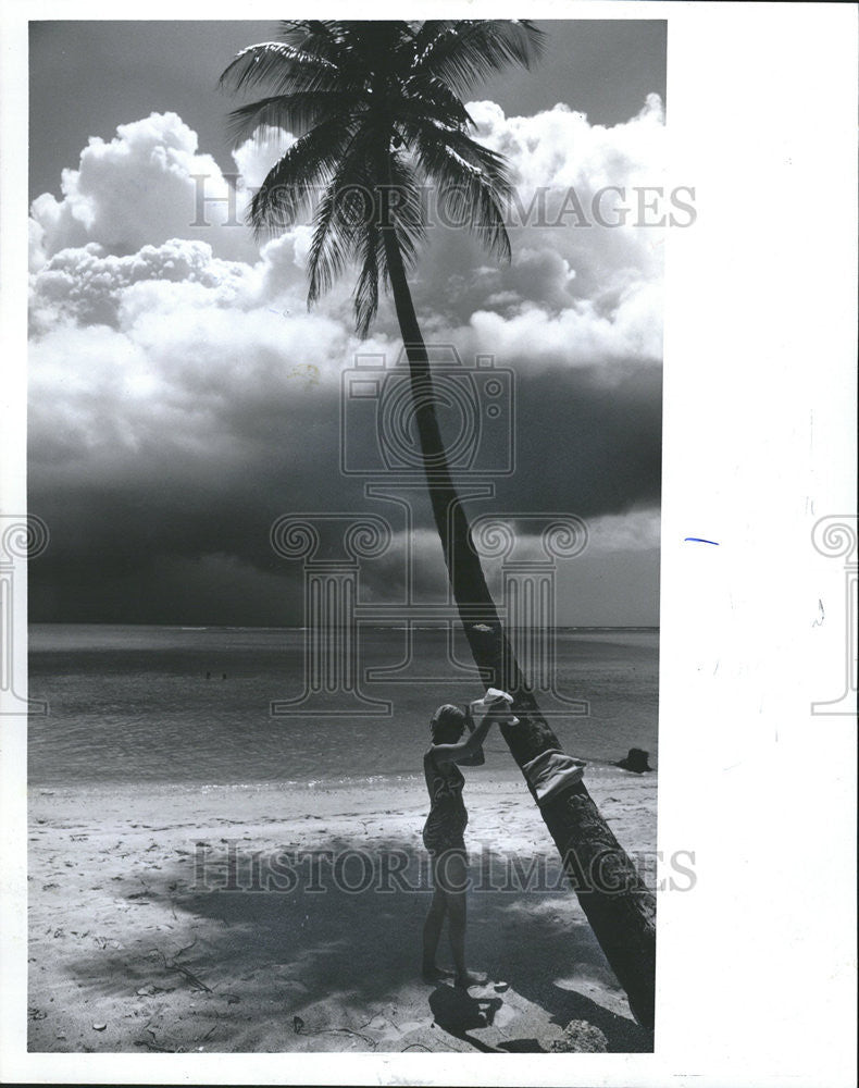 1977 Press Photo Caribbean beach Tobago Tree man Sand Sea Water - Historic Images