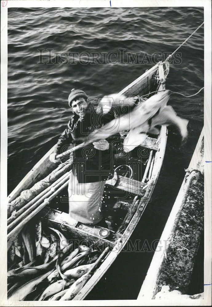 1968 Press Photo Jocquim Marques Rosa forks his catch cod on deck the Jose Alber - Historic Images