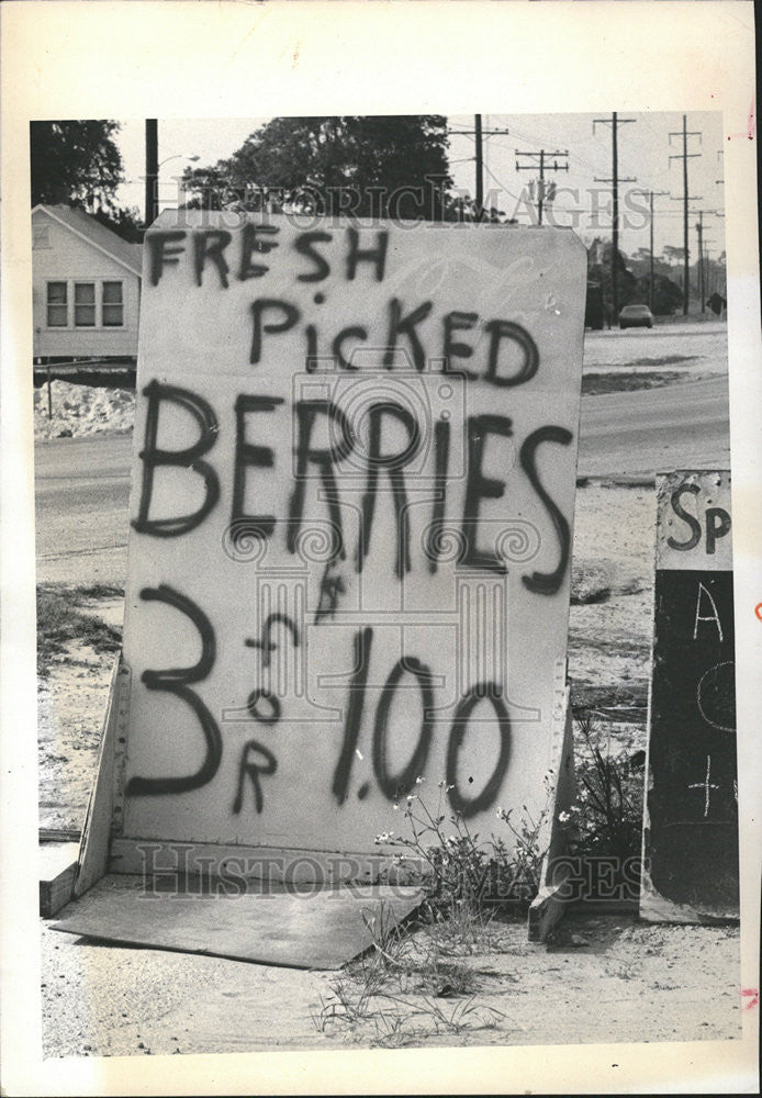 1974 Press Photo Burks Fruit Stand Sign Palm Harbor Florida - Historic Images