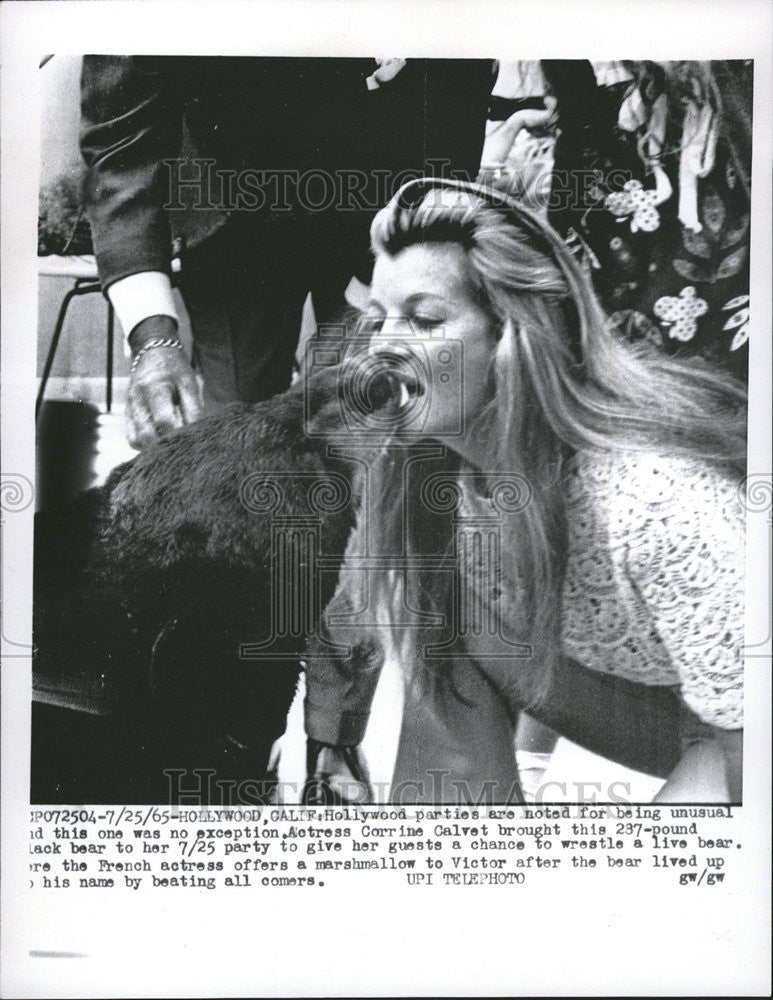 1965 Press Photo Actress Corrine Calvet brought black bear to party. - Historic Images