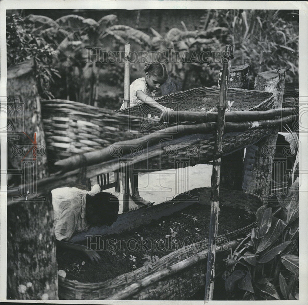 1962 Press Photo Children Ramchandi Hanging Gardens Orissa India - Historic Images