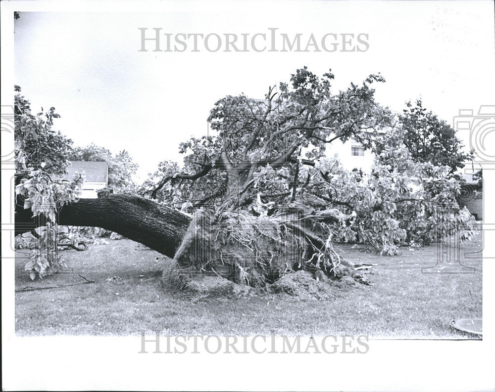 1969 Press Photo Storm Damage Sterling Heights Michigan - Historic Images