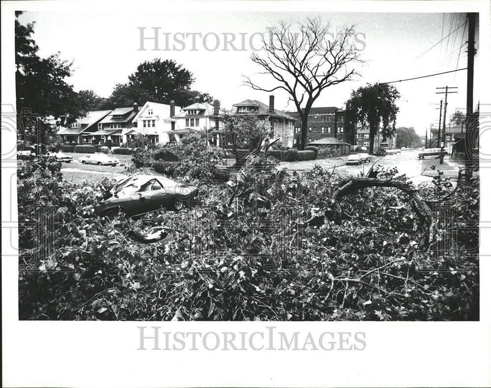 1980 Press Photo Storms Damage Blocked Crushed Lawrence Byron Detroit - Historic Images