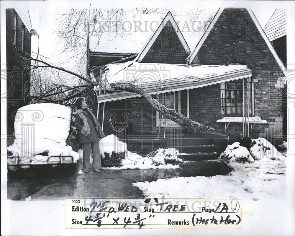 1976 Press Photo Helene Hardy Detroit Tree Causes Damage Storm Home - Historic Images