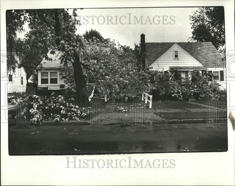 1980 Press Photo Storms Detroit House Carl Giles Burt Road - Historic Images