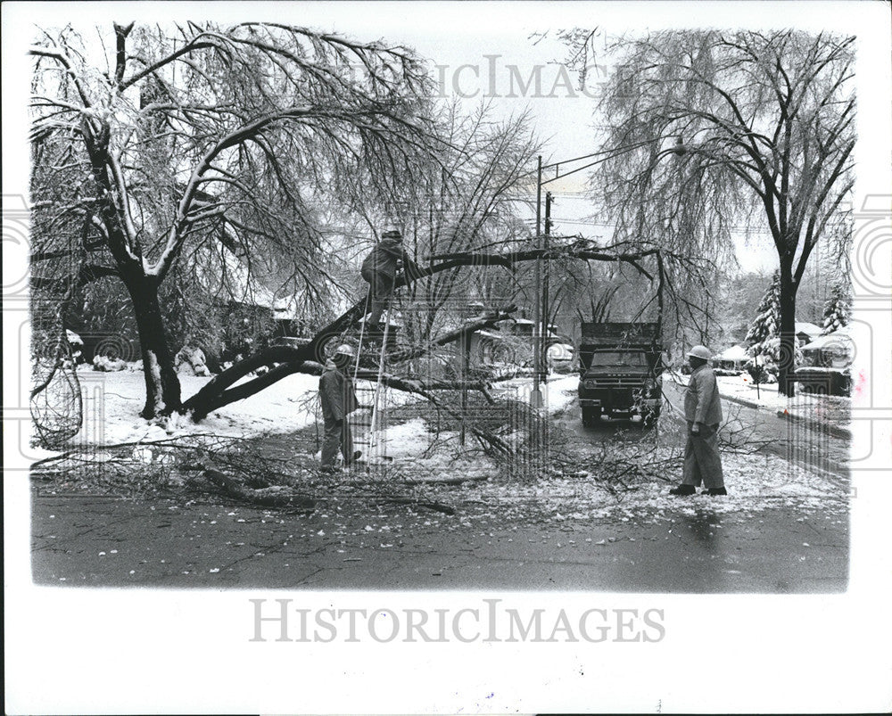 1976 Press Photo Detroit Vernor Bedford Ice Strom Tree damaged West side - Historic Images