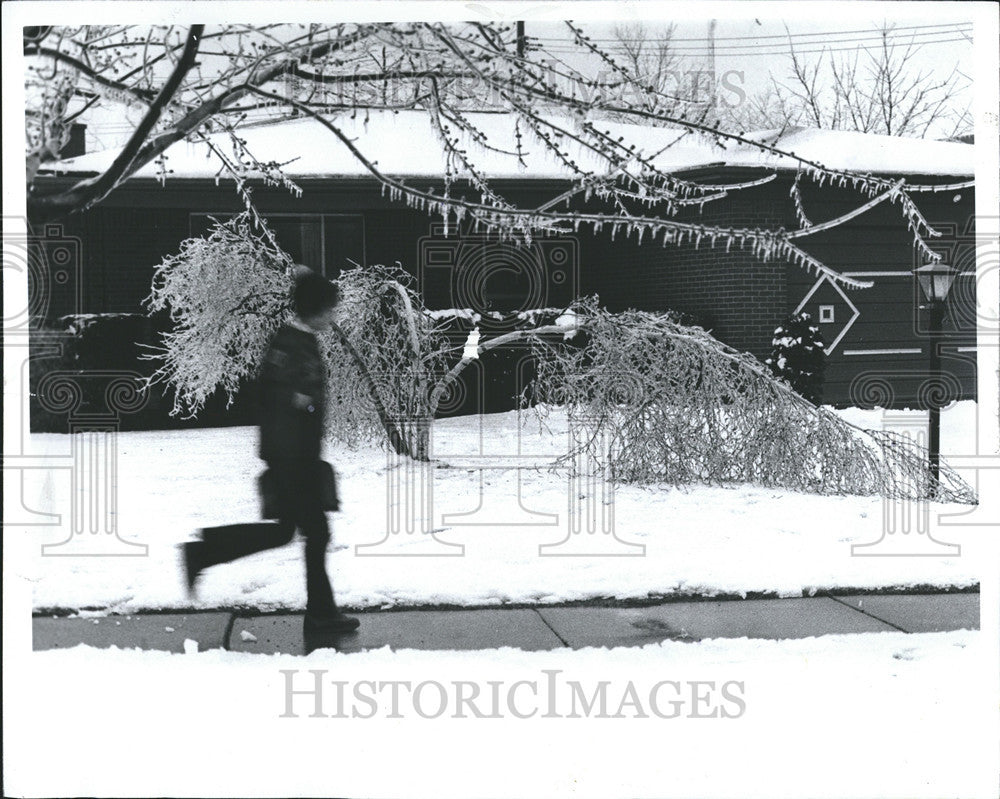 1976 Press Photo Detroit Michigan Storms - Historic Images