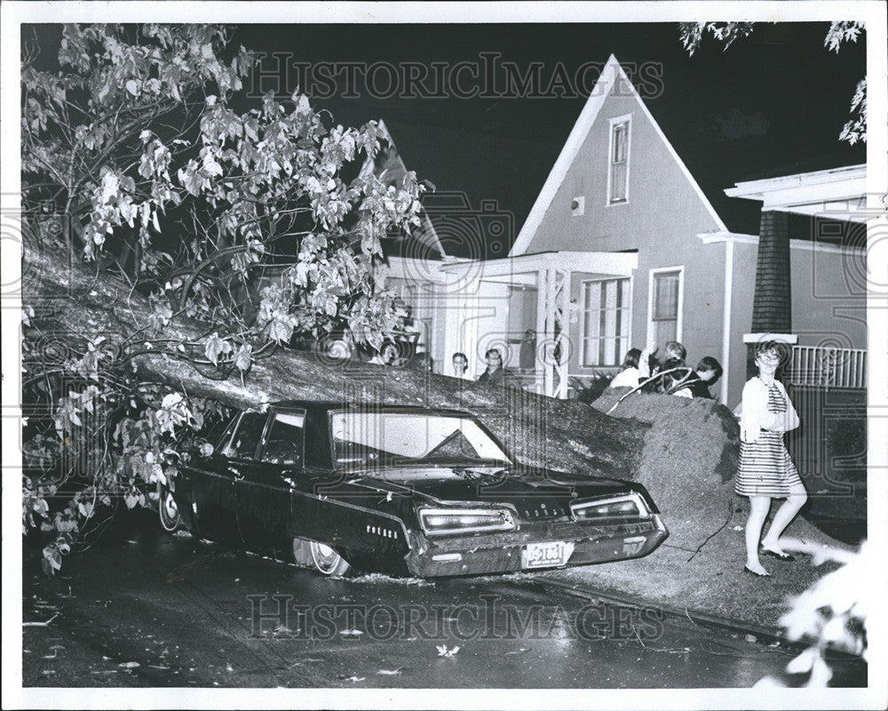 1969 Press Photo Storm Damage Tree Car - Historic Images