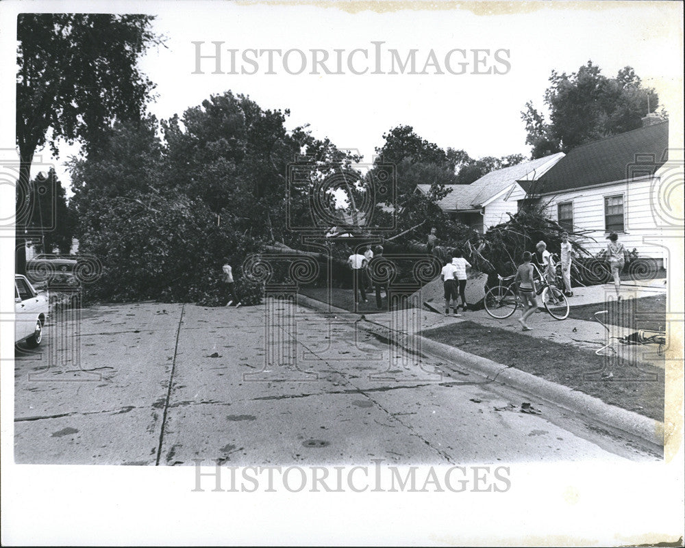 1969 Press Photo Ashton Tree Blocks Road Strom Damage - Historic Images