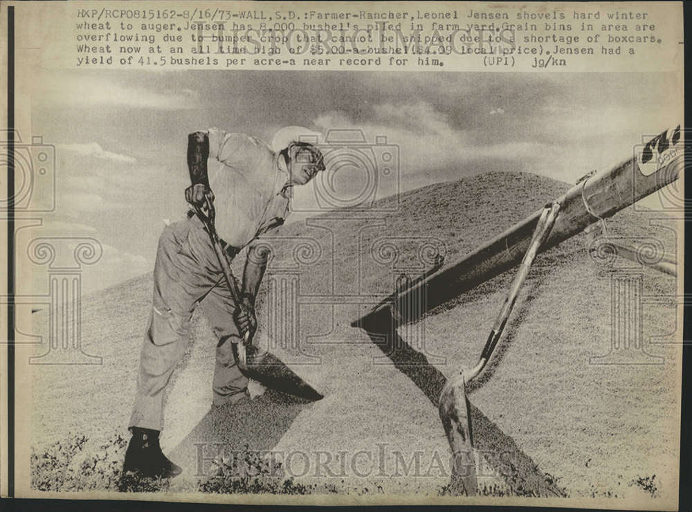 1973 Press Photo Farmer Rancher Leonel Jensen shovels hard winter wheat to auger - Historic Images