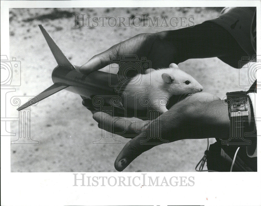 1990 Press Photo Outside Du Sable high school Wabash Astro rat Lift Rockets - Historic Images