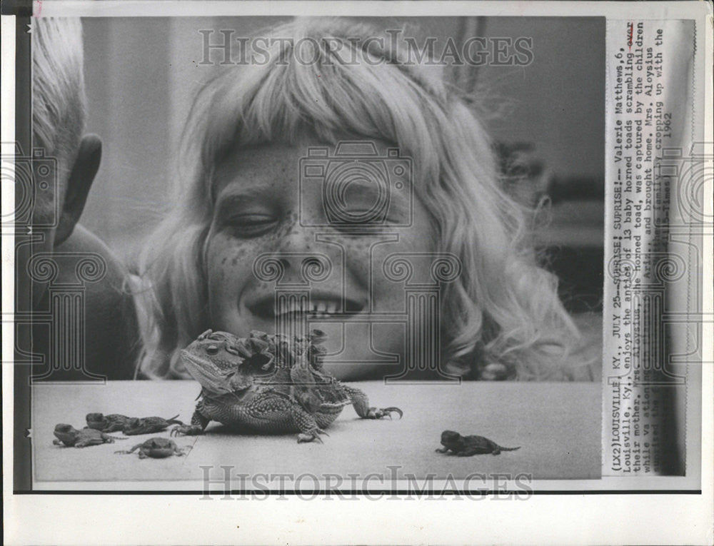 1962 Press Photo Little Girl Watching Baby Horned Toads With Mother - Historic Images